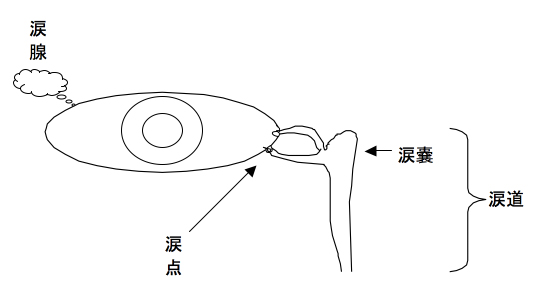 先天性鼻涙管閉塞症